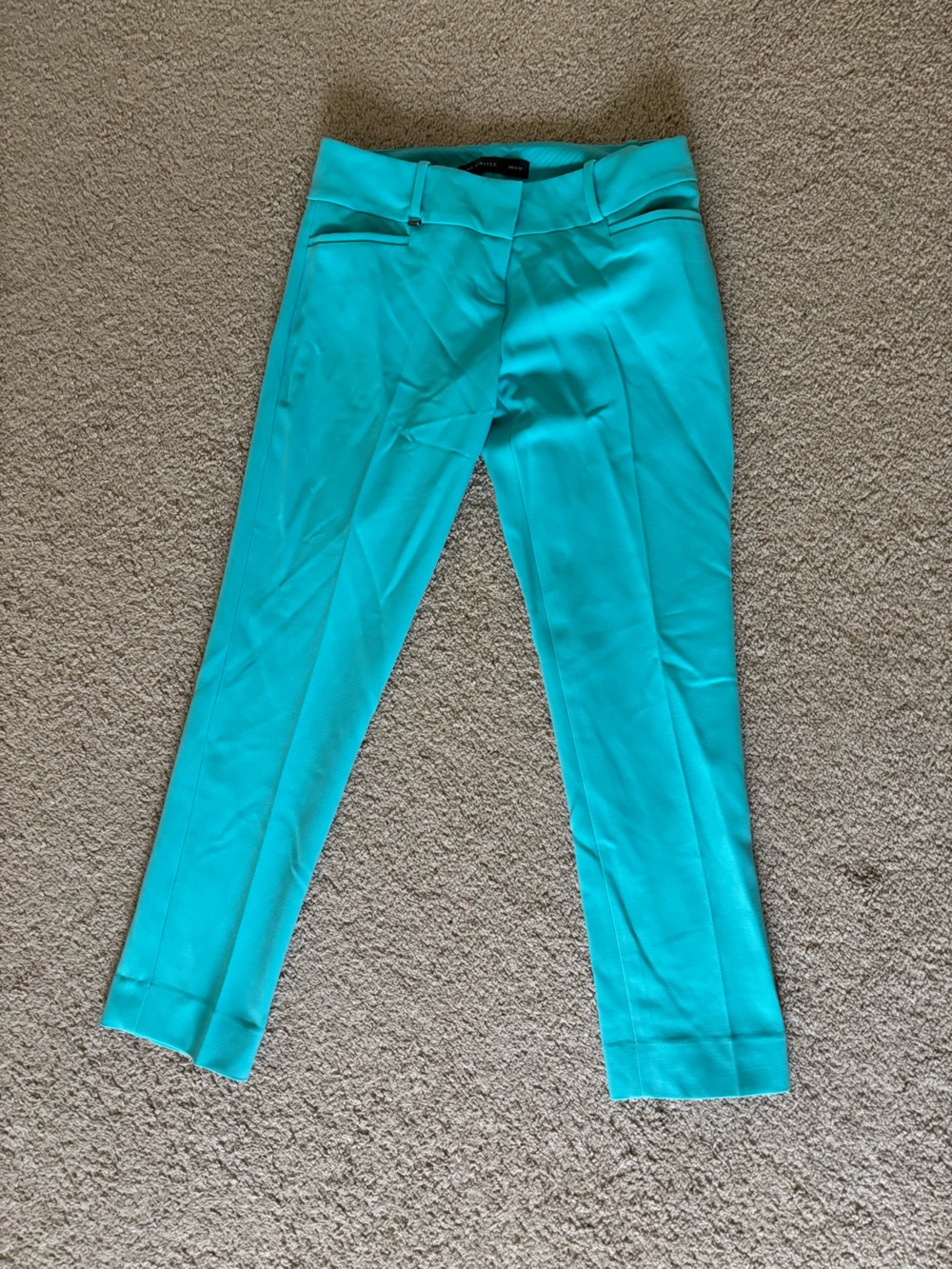 The Limited Women’s Aqua Blue Pants